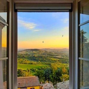 Meet your Posher, Sophie